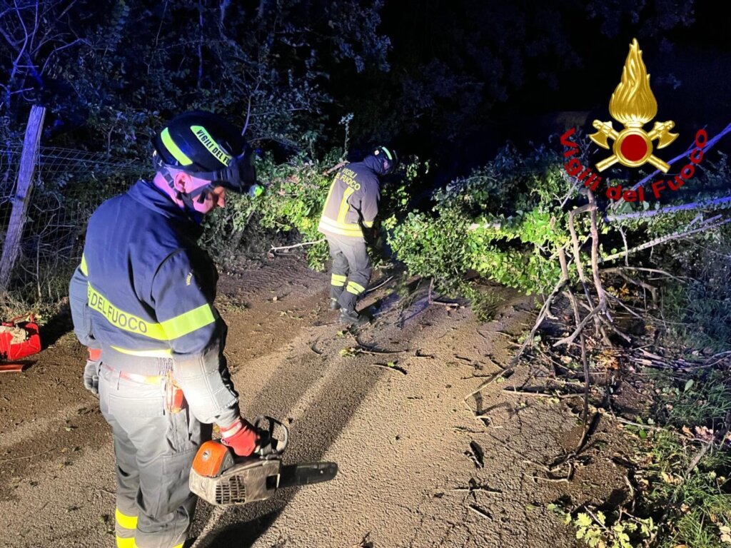 Vento forte e mareggiate hanno spazzato la costa toscana: disagi e alberi caduti